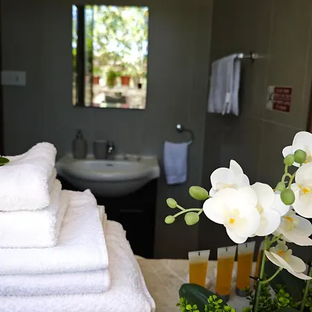 Kozakos Luxury House * Páno Léfkara