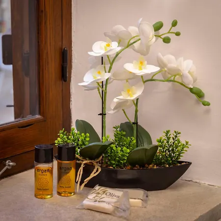 Kozakos Luxury House Appartement