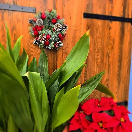 Lägenhet Kozakos Luxury House Pano Lefkara