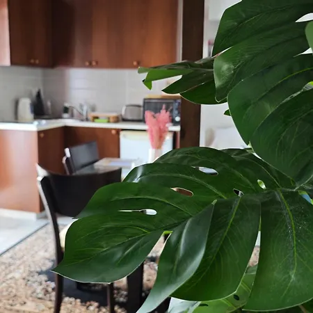 Kozakos Luxury House *