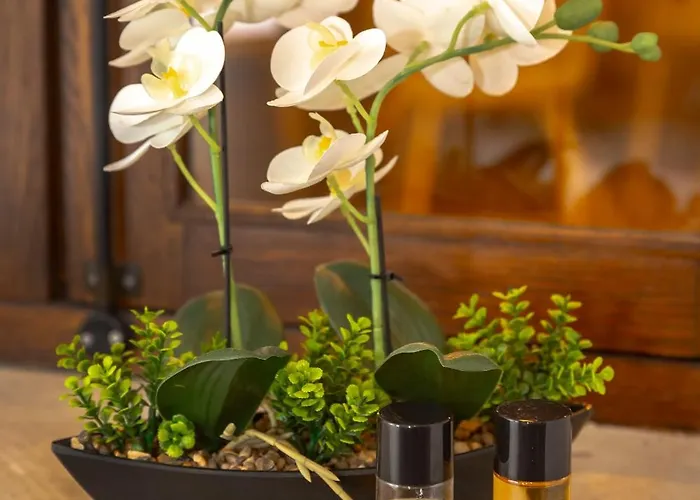 Kozakos Luxury House