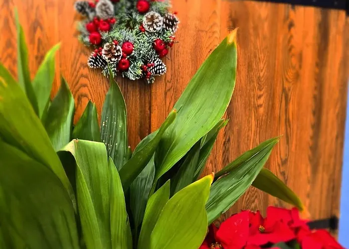 Apartmán Kozakos Luxury House Pano Lefkara