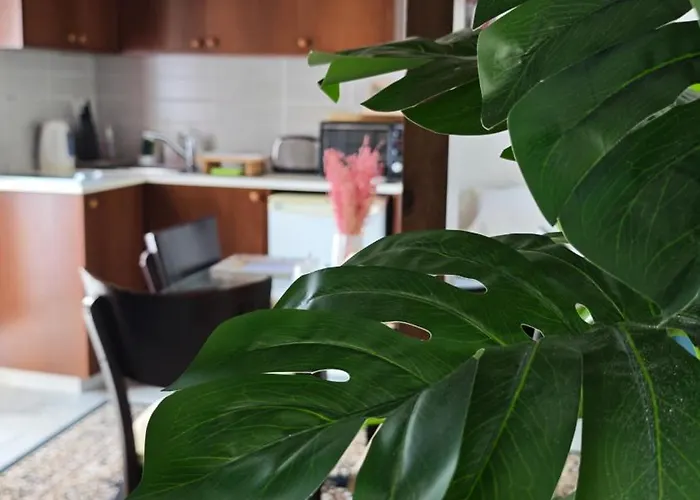 Kozakos Luxury House *